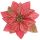 Vianočná ruža červeno - zlatá 13,5 cm
