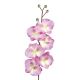 Umelá orchidea L728-07