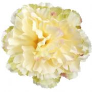 Kvetinové hlavy Kvetinové hlavy