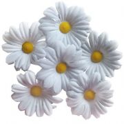 Kvetinové hlavičky malé Kvetinové hlavičky malé