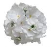 Umelá hortenzia biela priemer 19 cm, pohľad zboku