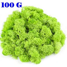 Dekoračný mach jarná zelená 100 g