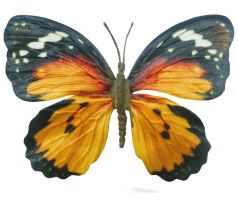 Motýľ na štipci 9 cm
