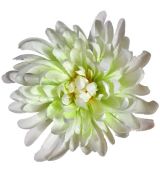 Umelá chryzantéma saténová bielozelená 17 cm