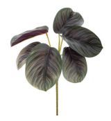 Umelá rastlina Maranta 25 cm