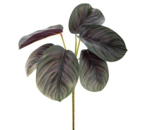 Umelá rastlina Maranta 25 cm