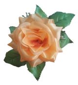 Umelá ruža saténová s lístkom broskyňová
