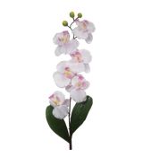 Umelá orchidea saténová L160-05