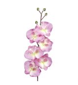 Umelá orchidea L728-07