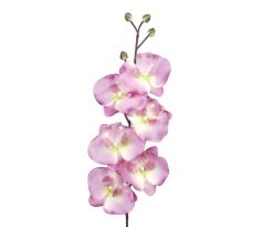 Umelá orchidea L728-07