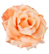 Umelá ruža saténová W634-11