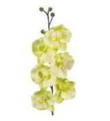 Umelá orchidea L728-05