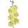 Umelá orchidea L728-05