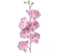 Umelá orchidea L728-06
