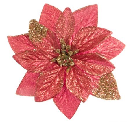 Vianočná ruža červeno - zlatá 13,5 cm