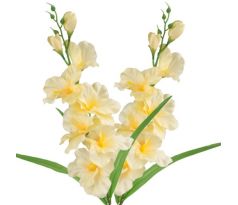 Umelá gladiola saténová bledožltá 63 cm, pohľad zblízka