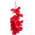 Umelá gladióla saténová červená 54 cm