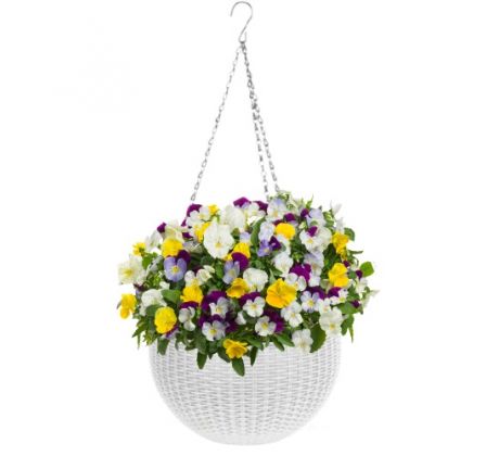 Kvetináč visiaci biely 26 cm