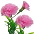 Umelá kytička karafiáty ružová 28 cm