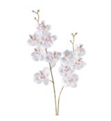 Umelá orchidea biela 50 cm