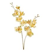 Umelá orchidea žltá 50 cm