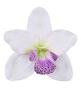 Umelá orchidea fialová 14 cm