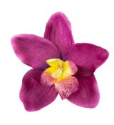 Umelá orchidea lila 14 cm