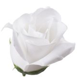 Umelá ruža saténová puk biela 7 cm
