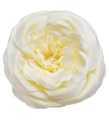 Umelá anglická ruža žltá 12 cm