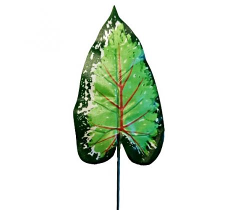 Umelý list caládium 35 cm