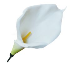 Umelá kala biela penová 24 cm