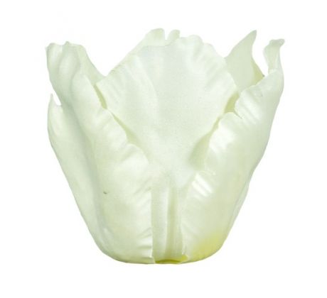 Umelý tulipán krémový 7,5 cm / 1 ks
