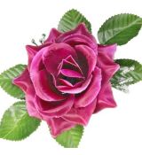 Umelá ruža saténová s lístkom burgundy