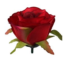 Umelá ružička tmavočervená 6 cm / 1 ks