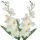 Umelá gladióla saténová krémová 65 cm