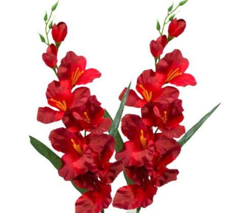 Umelá gladióla saténová červená 65 cm