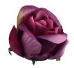Umelá ruža puk purpurová 6 cm