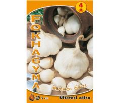 Cesnak  MAKOI jesenný 4 ks - hlavičiek
