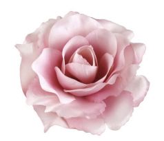 Umelá ruža ružová 11 cm