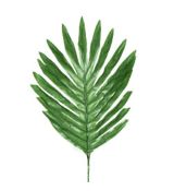 Umelý palmový list 37 cm