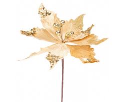 Kvet MagicHome Vianoce Poinssetia šampaň stonka 31 cm