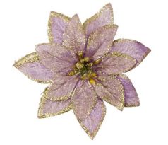 Vianočná ruža fialová 14 cm
