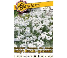 Gypomilka úhľadná biela