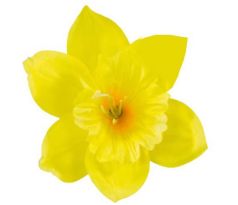 Umelý narcis žltý 12 cm