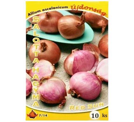 Šalotka - Red Sun 10 ks