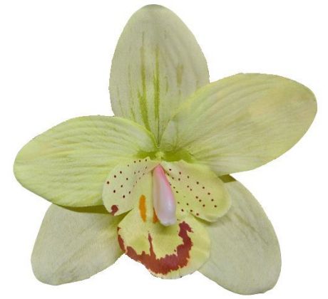 Umelá orchidea krémovozelená 12 cm