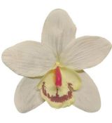Umelá orchidea krémová 12 cm