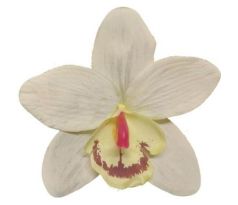 Umelá orchidea krémová 12 cm