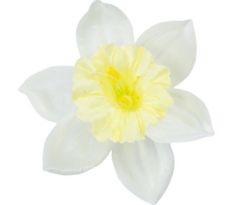 Umelý narcis maslový 12 cm