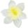 Umelý narcis maslový 12 cm